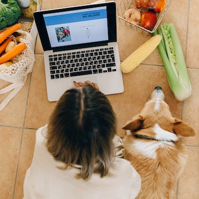 Brown and White Long Coated Dog Beside Macbook Pro