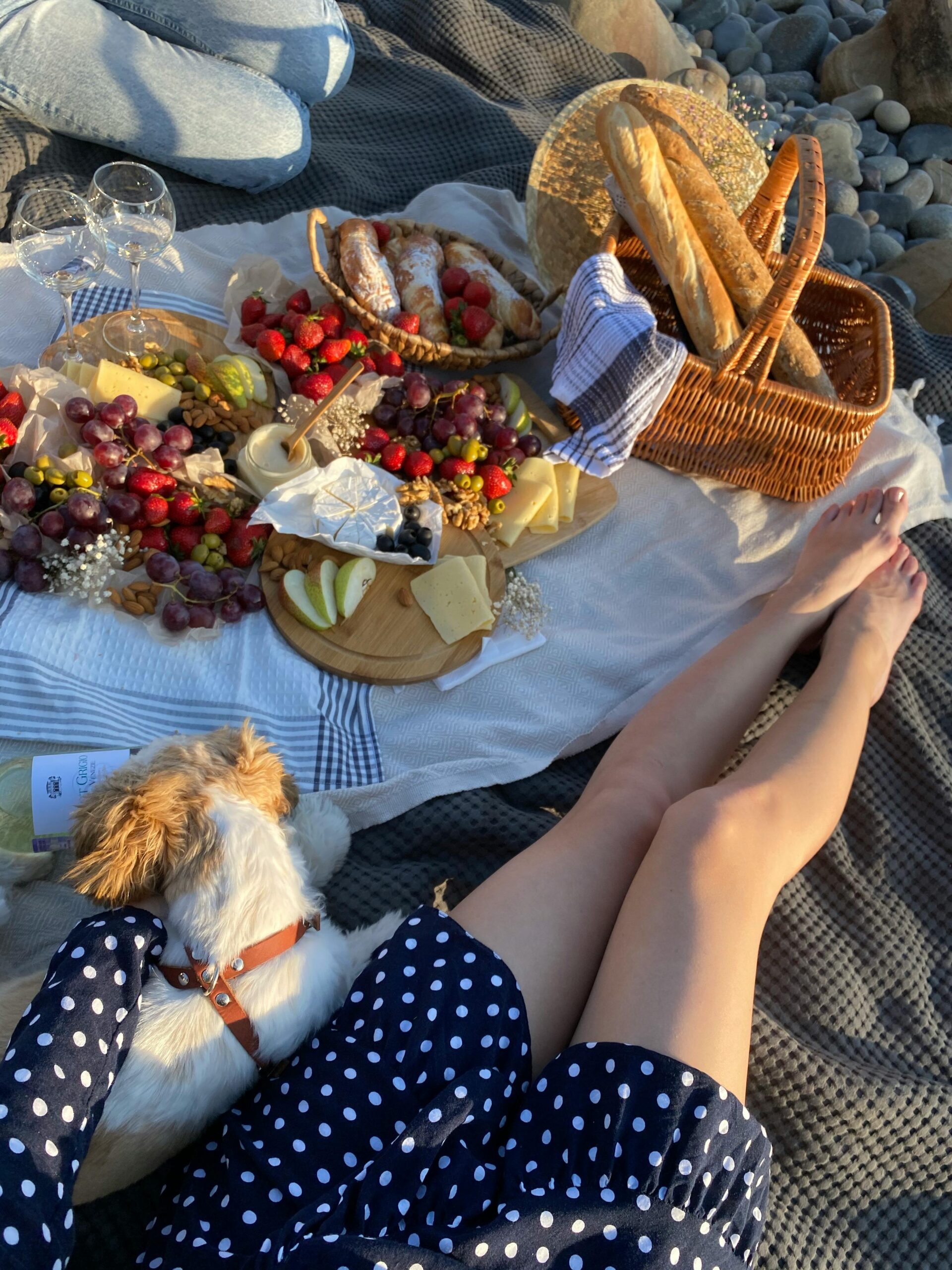 Woman and Dog Having a Picnic